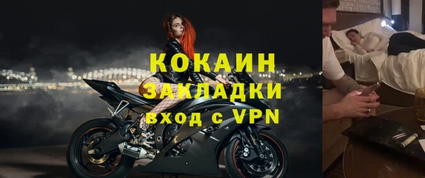 шишки Кукмор