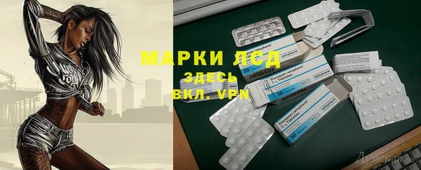 шишки Кукмор