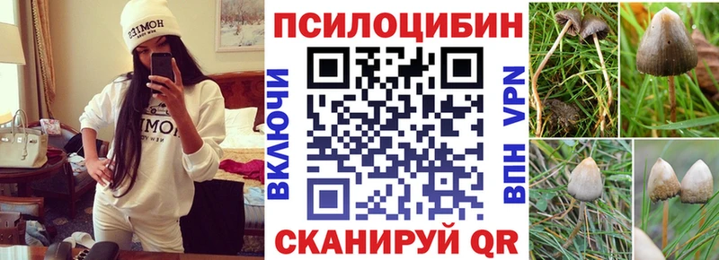 Галлюциногенные грибы прущие грибы Городище